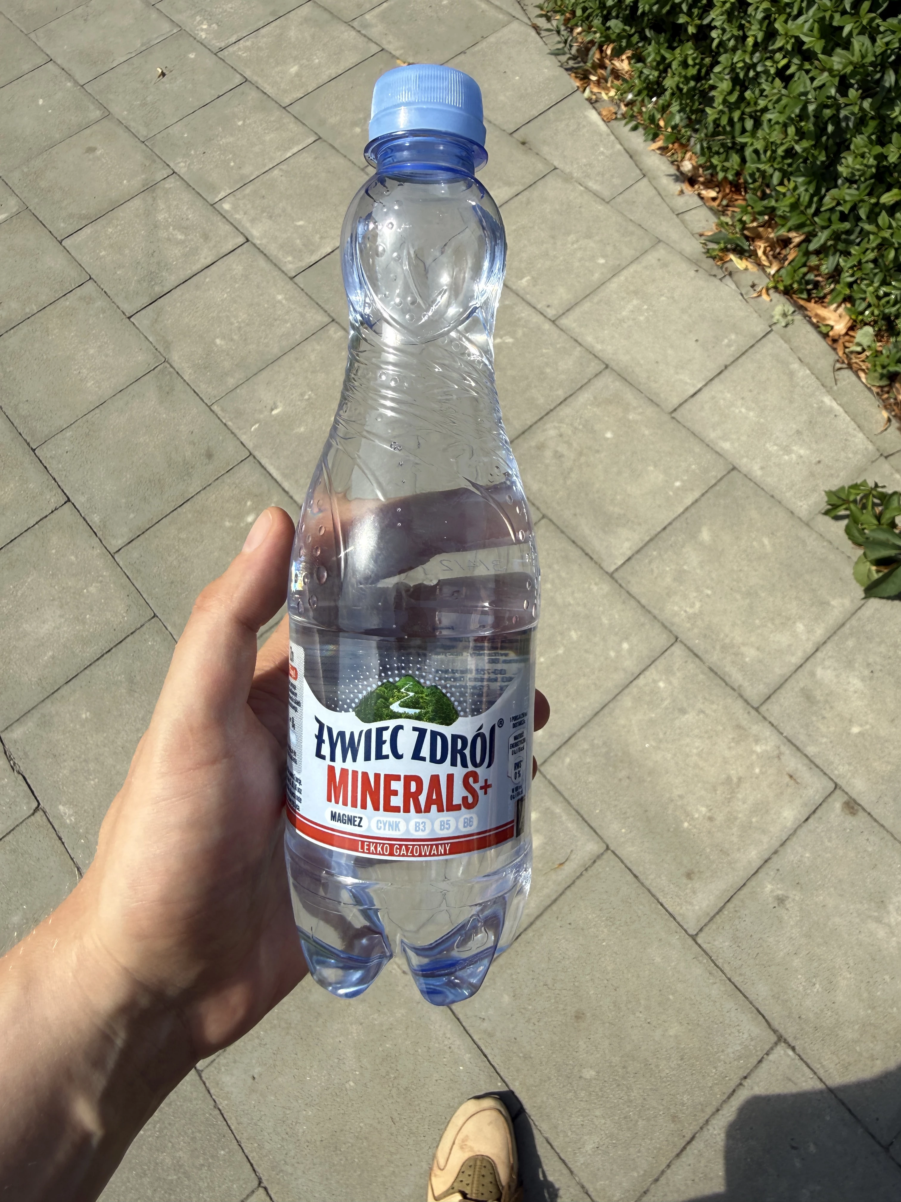 Żywiec Zdrój Minerals+ Woda mineralna gazowana | 500ml
