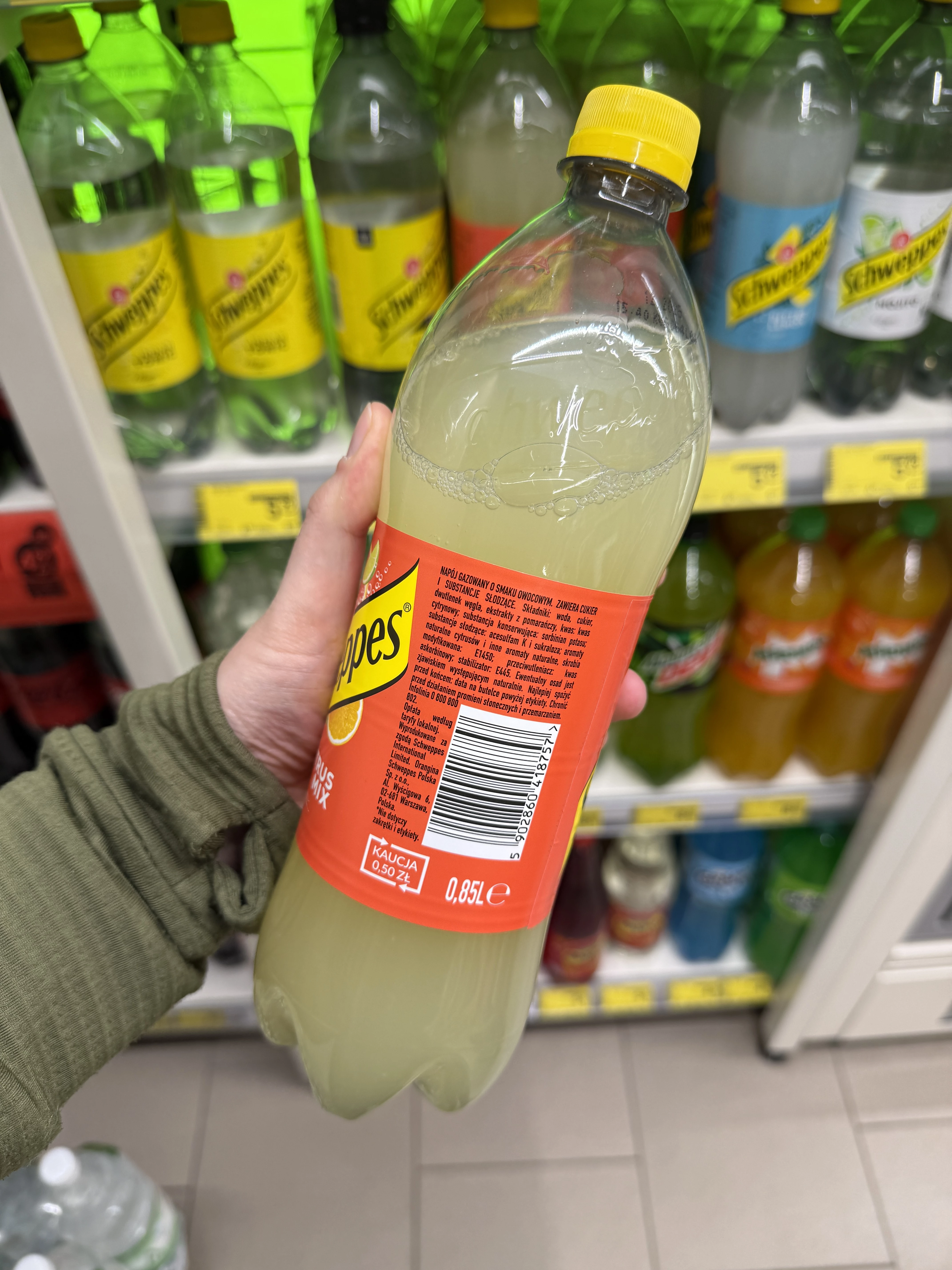 IMG_7031.JPG