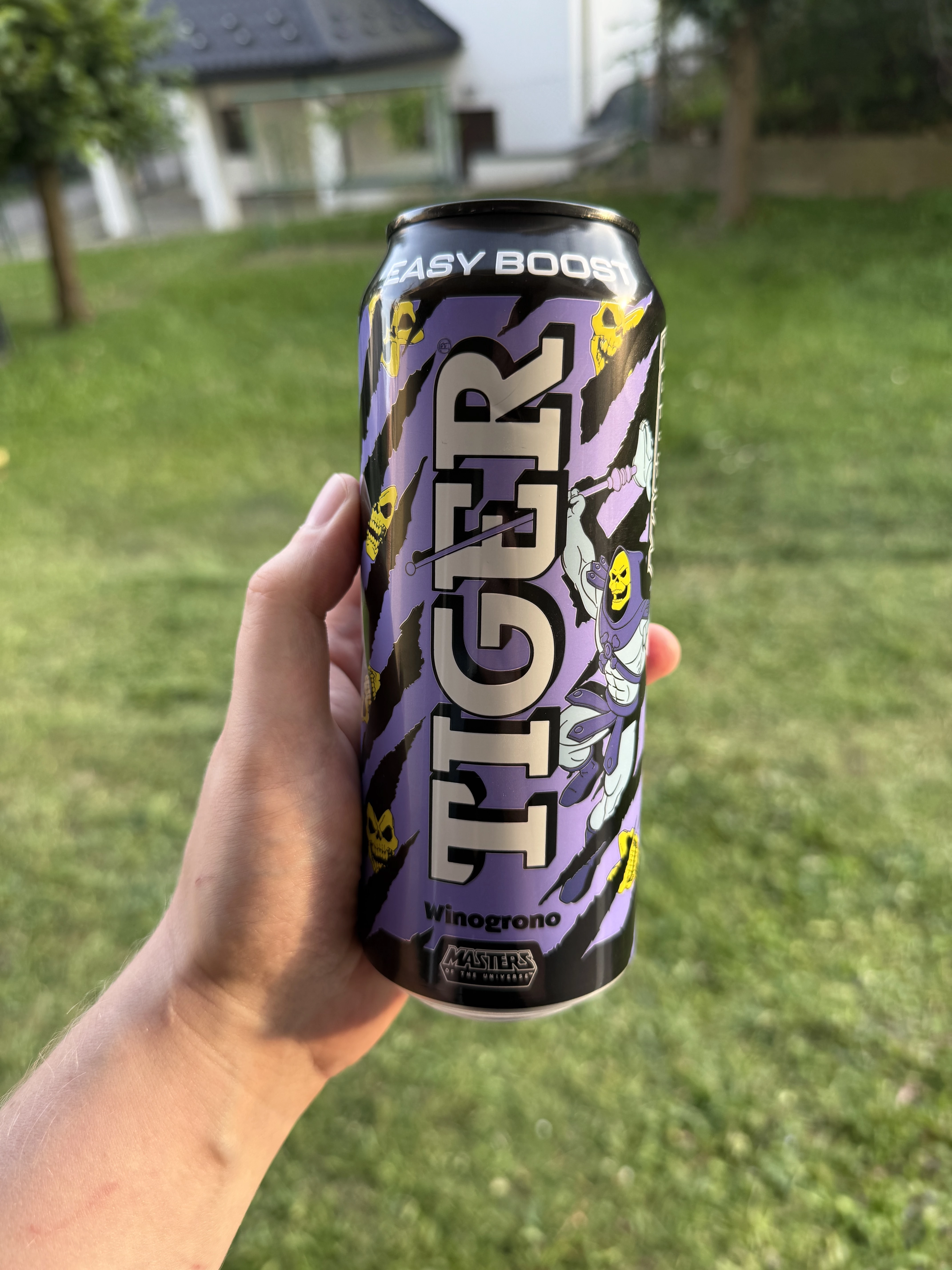 Tiger Easy Boost Winogrono Masters of the Universe | 500ml