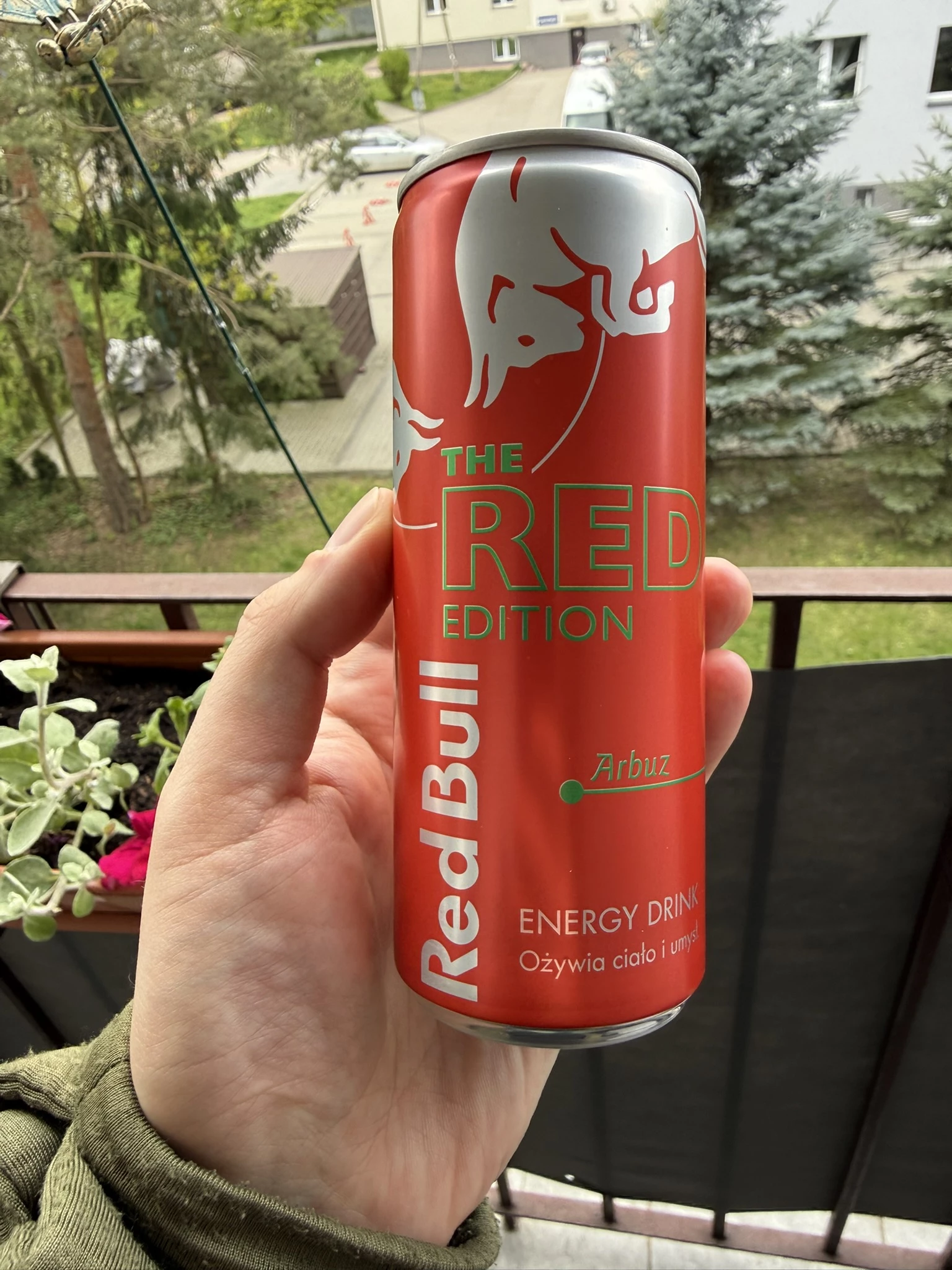 Red Bull The Red Edition Arbuz | 250ml