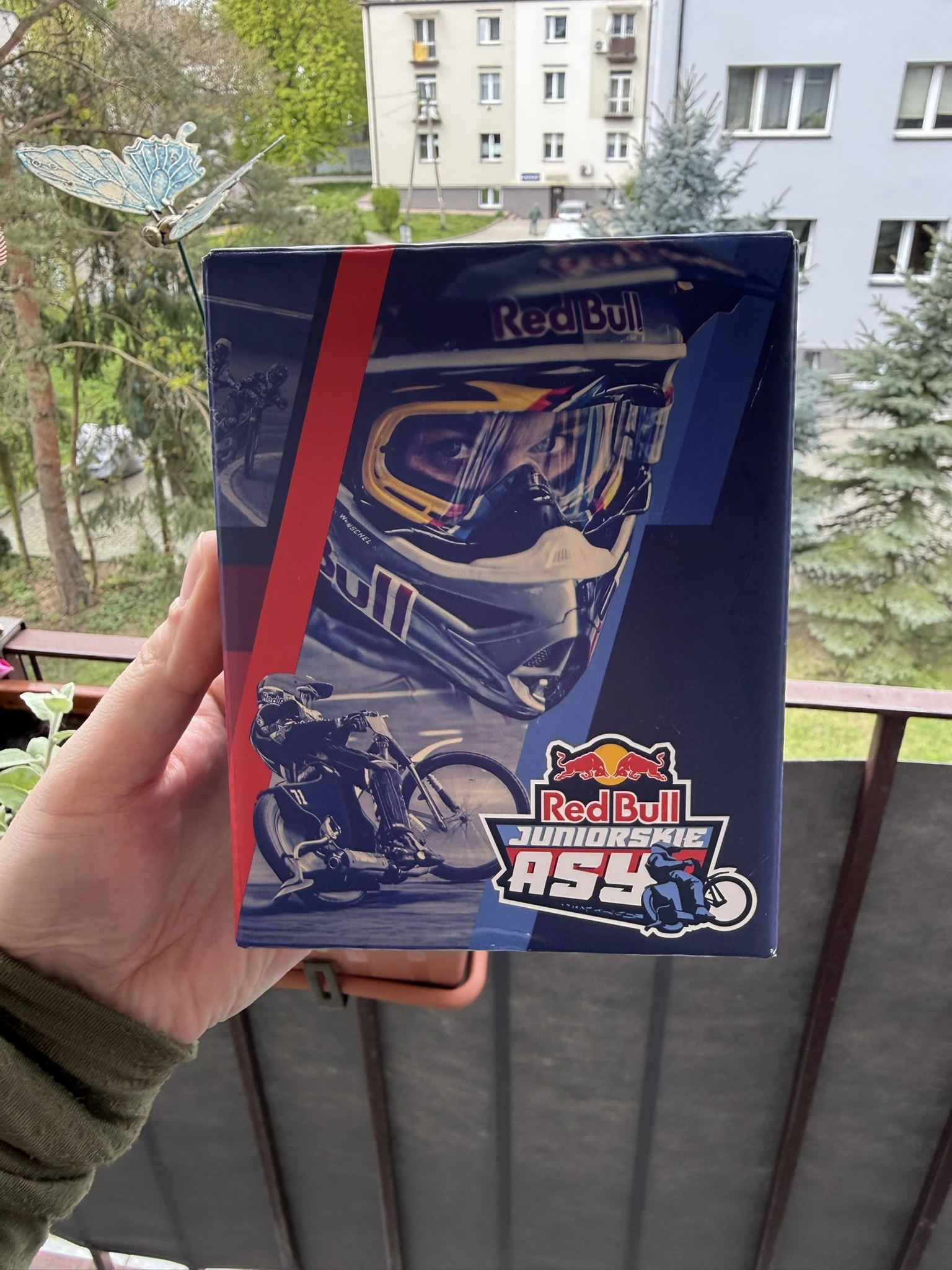 Red Bull Juniorskie Asy