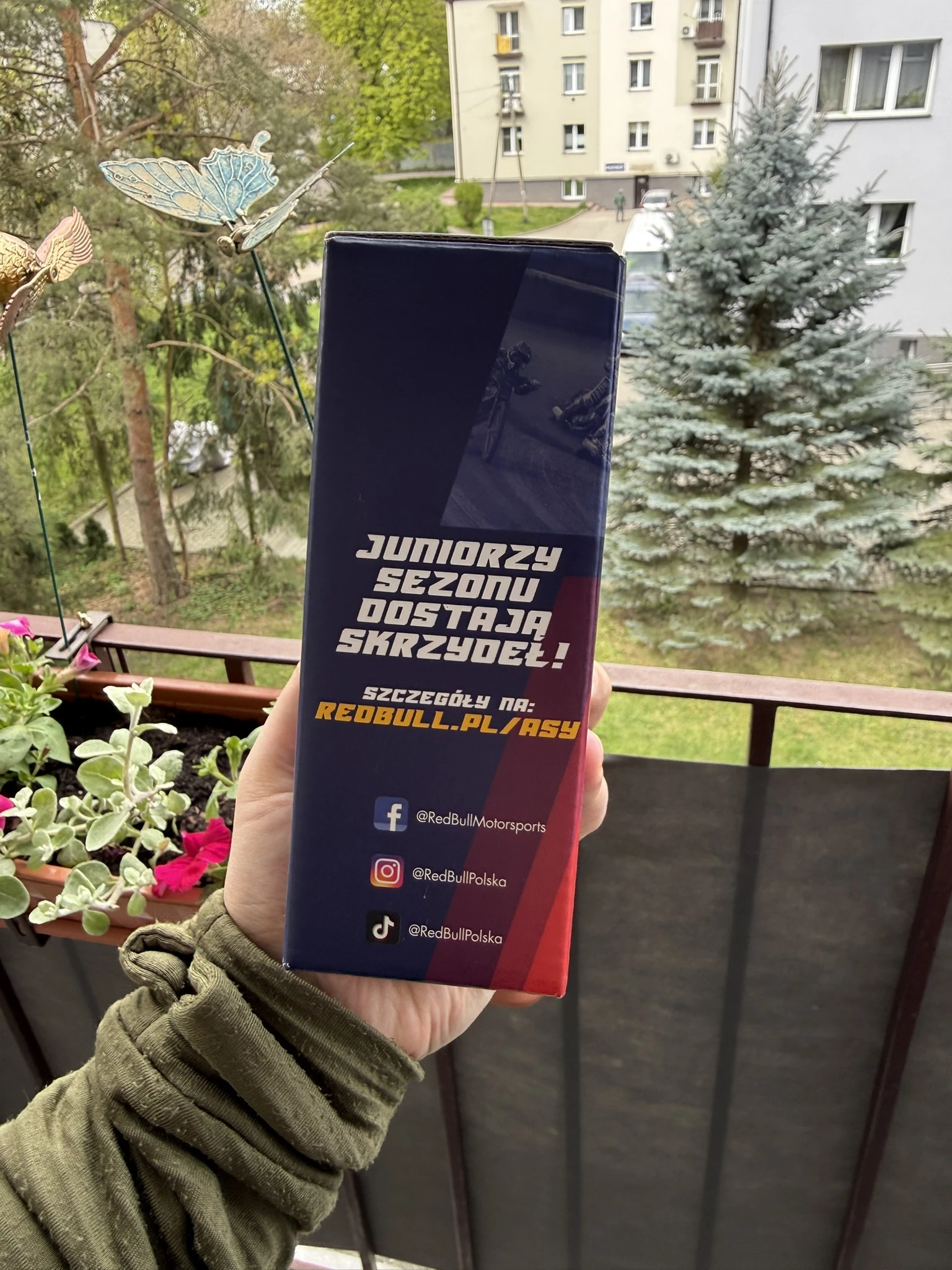 IMG_0674.JPEG