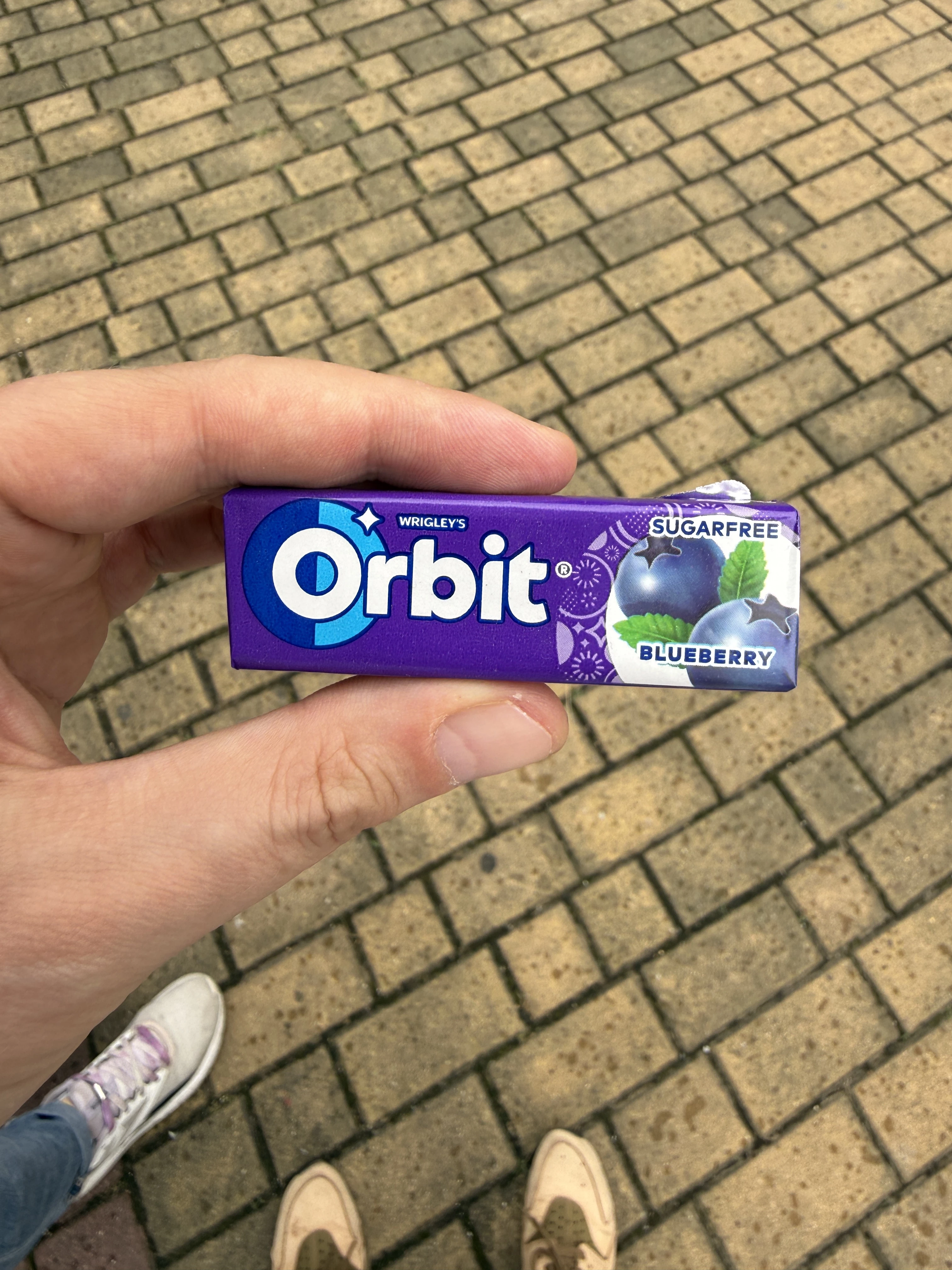 Orbit Blueberry Sugarfree | 14g