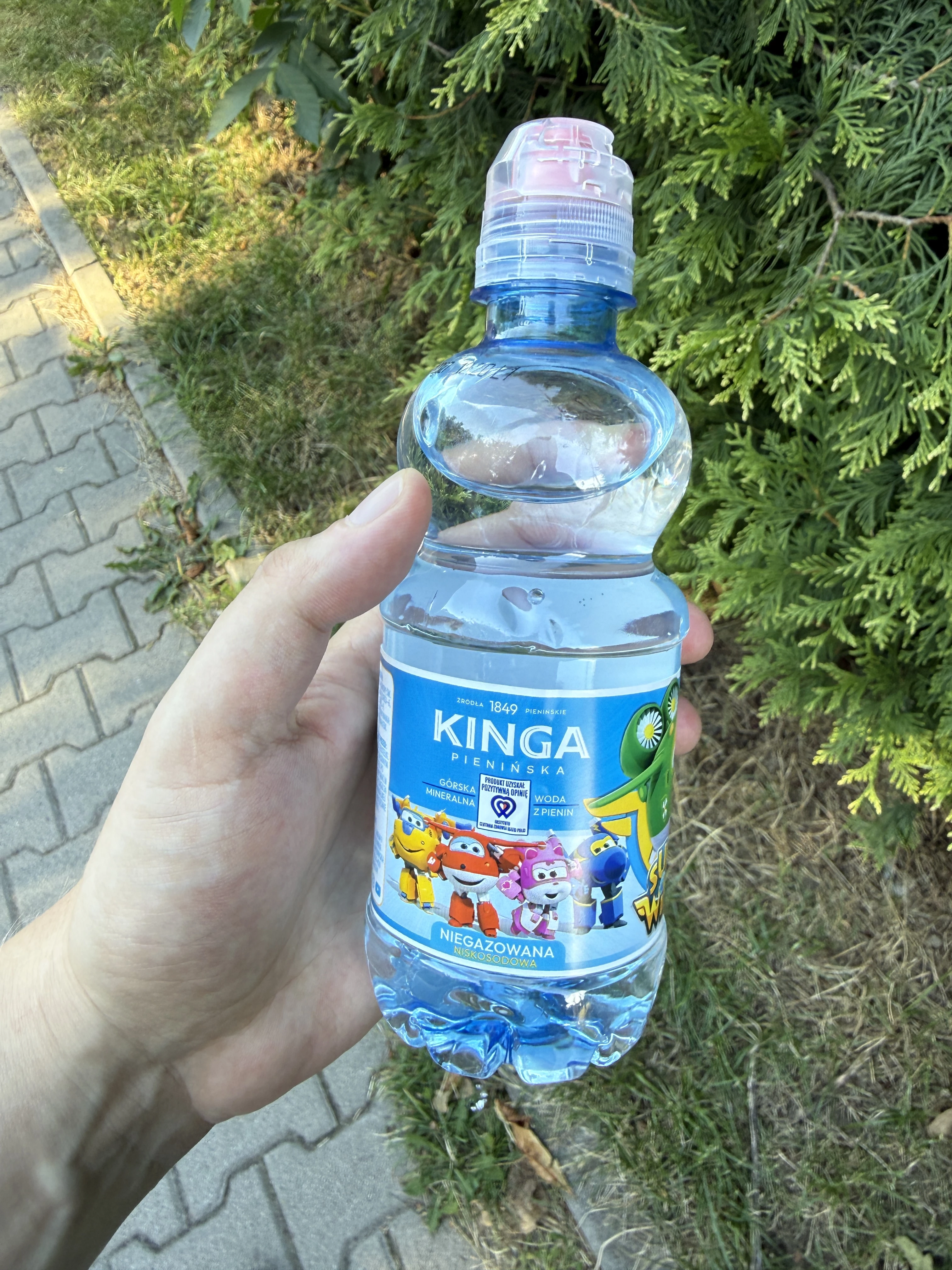 Kinga Pienińska woda mineralna niegazowana Super Wings | 330ml