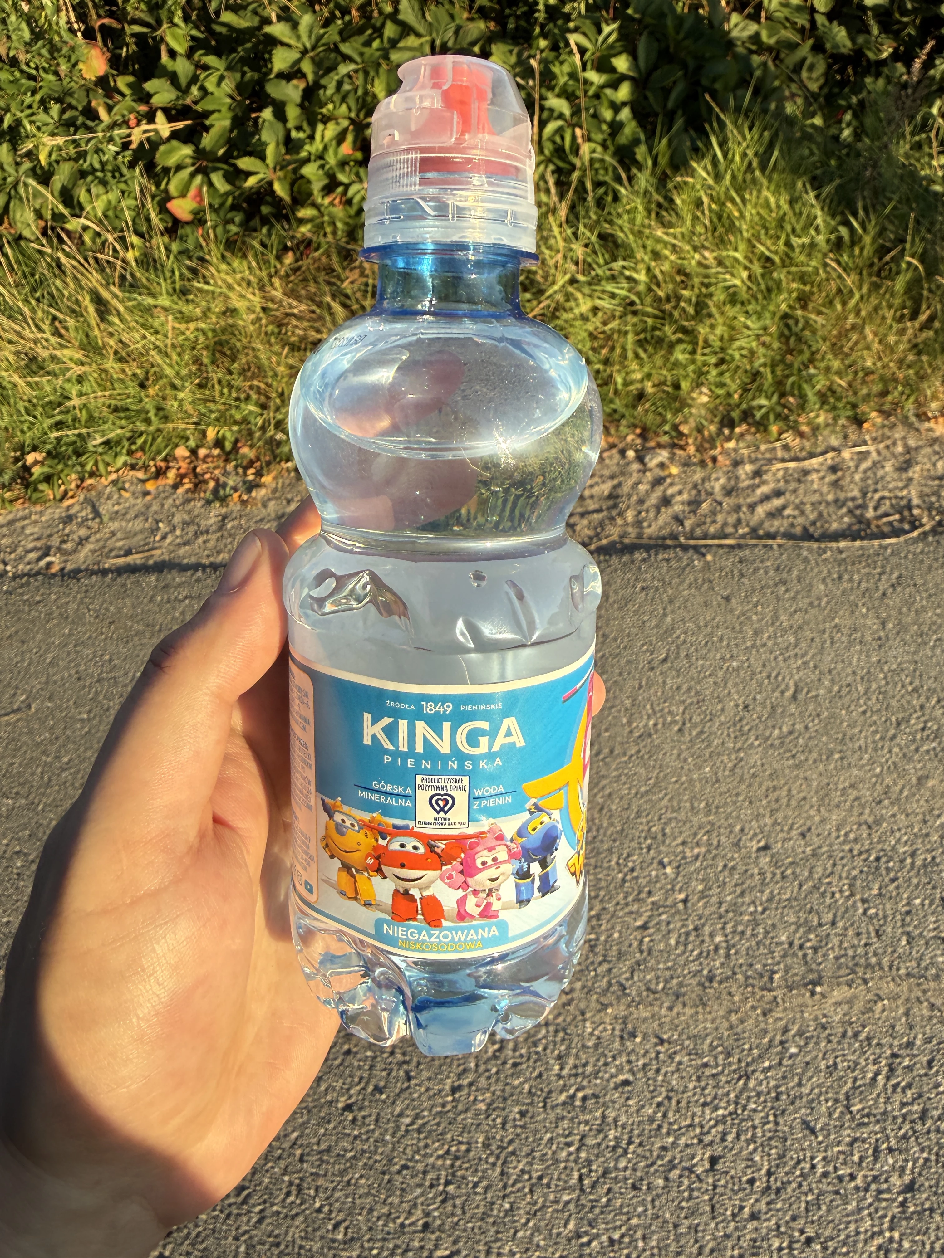 Kinga Pienińska woda mineralna niegazowana Super Wings | 330ml