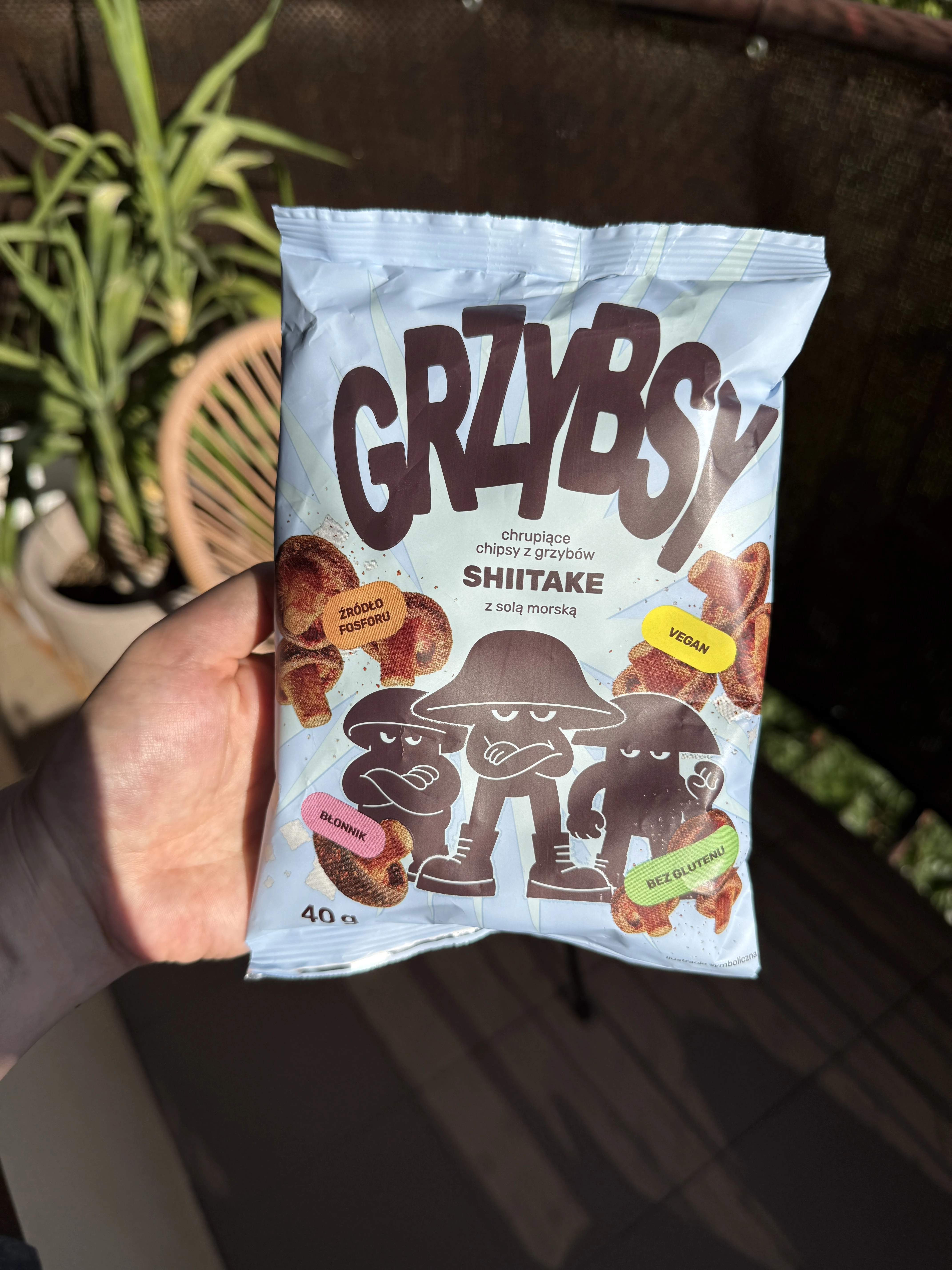 Chipsy Grzyby Shiitake z solą morską Grzybsy | 40g