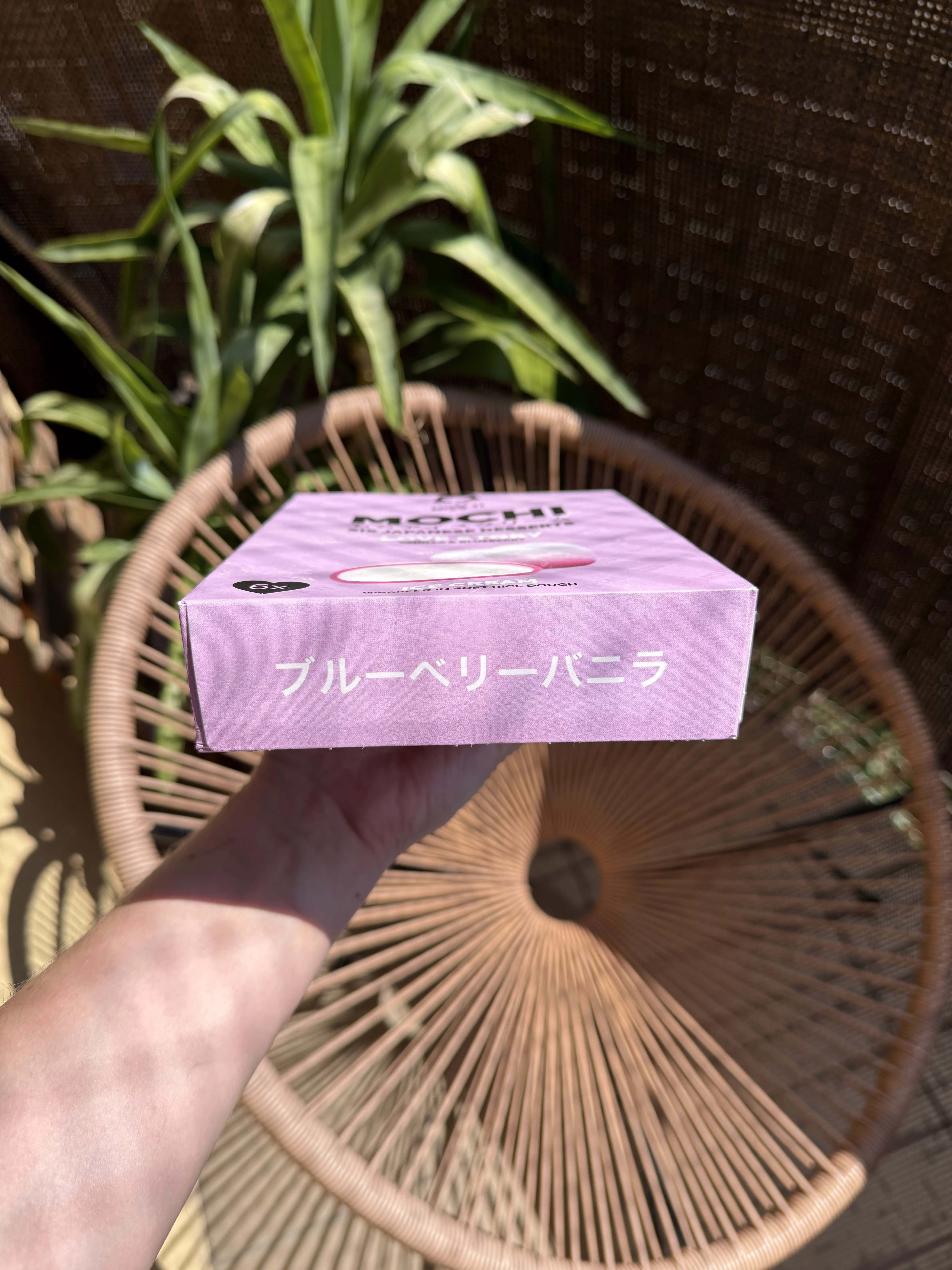 IMG_8693.JPEG